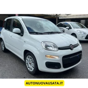 ibrido di panda